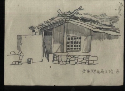 陈秀兰我的生父苏林燕和生母远征