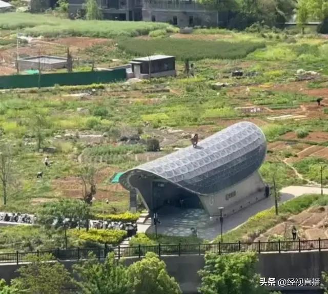 杭州一地铁口被吐槽像棺材，官方回应