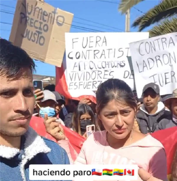 智利：季節性櫻桃工人罷工