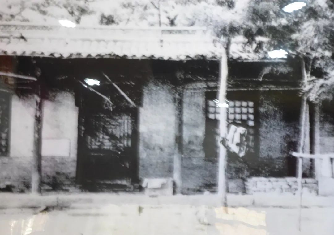 王瑞林：清明重温毛主席关于民心这段话，发人深省