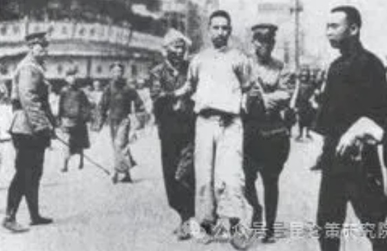 张文木：政治问题不可用“恋爱脑”